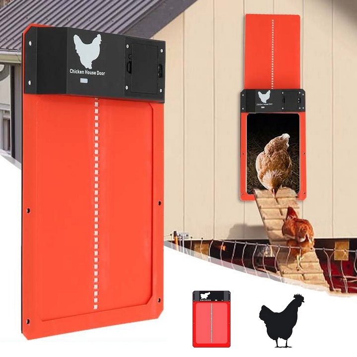 Automatische Kip Deur | Veiligheid voor je Kippen
